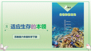 2.8.适应生存的本领（ppt课件25张PPT ）-2023新苏教版六年级下册《科学》.pptx