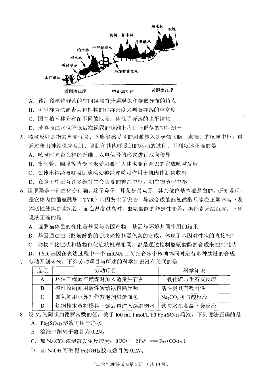 23届南充二诊理科综合试卷.pdf_第2页