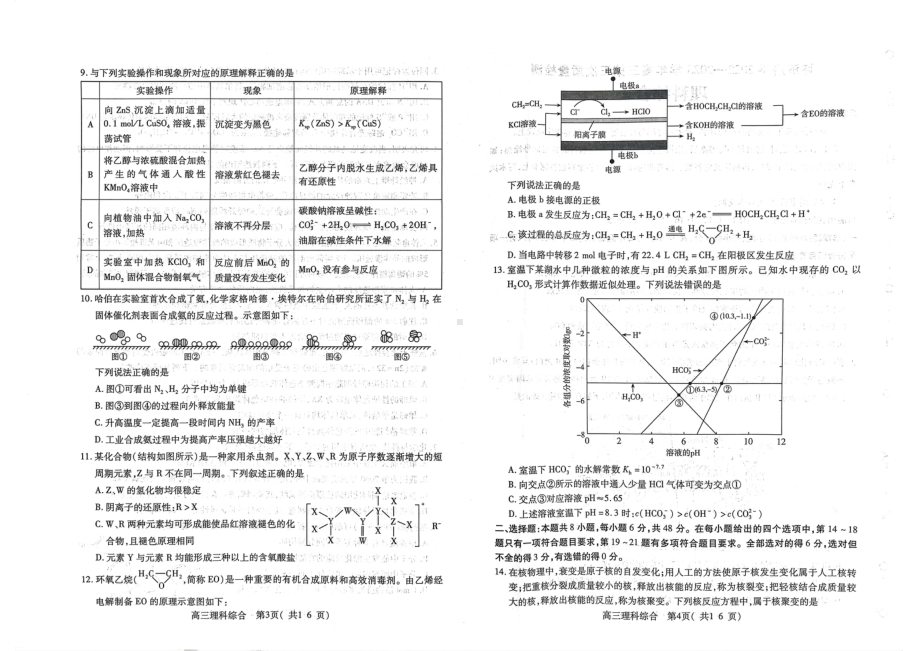 河南省许昌济源洛阳平顶山四市2023届高三第三次质量检测理科综合试卷+答案.pdf_第2页