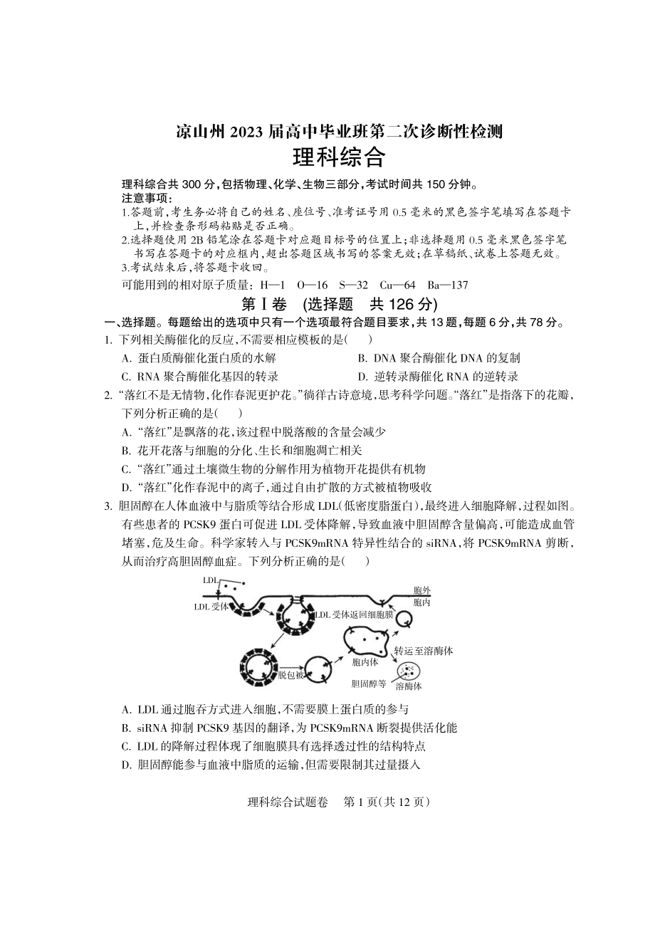 2023届四川省凉山彝族自治州高三下学期第二次诊断检测理科综合试题.pdf.pdf_第1页