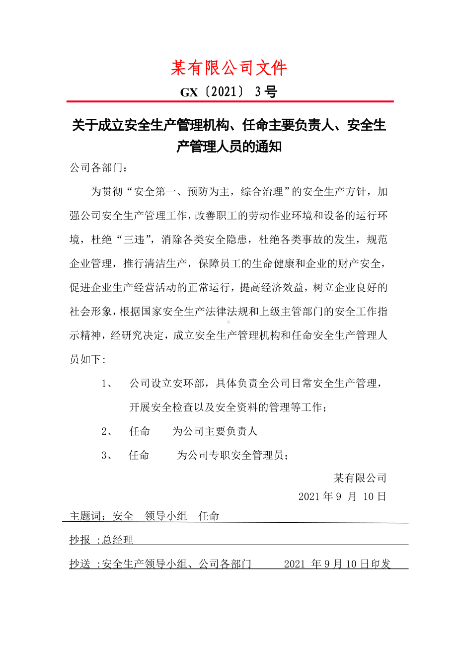 成立安全生产管理机构任命安全生产管理人员的通知.doc_第1页