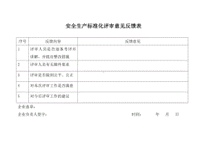 安全生产标准化评审意见反馈表.doc