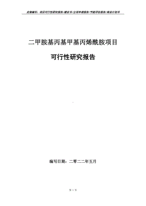 二甲胺基丙基甲基丙烯酰胺项目可行性报告（写作模板）.doc