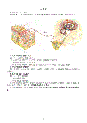 小学科学青岛版六三制六年级下册第一单元第5课《触觉》知识点整理（2023春）.doc