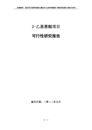 2-乙基蒽醌项目可行性报告（写作模板）.doc