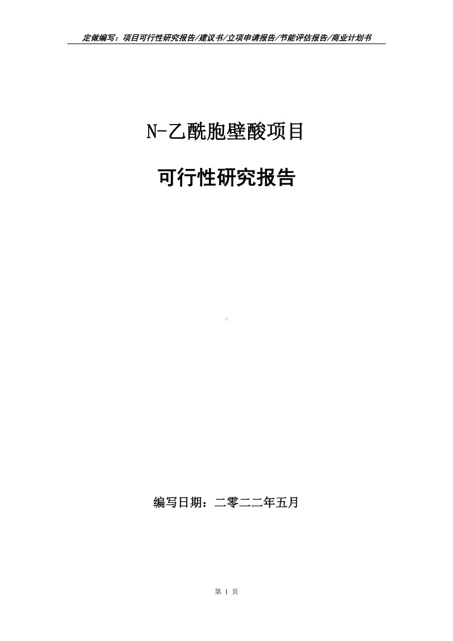 N-乙酰胞壁酸项目可行性报告（写作模板）.doc_第1页