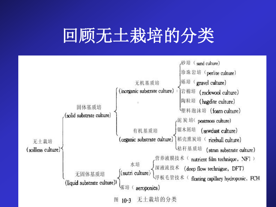 无土栽培的管理技术.ppt_第2页