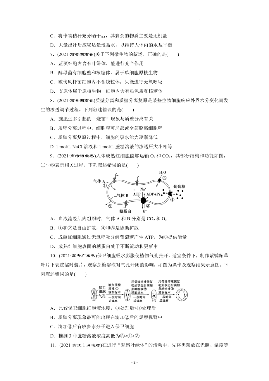 2023年高考生物二轮复习：2021年高考生物真题分类刷题练习题汇编（含答案解析）.docx_第3页