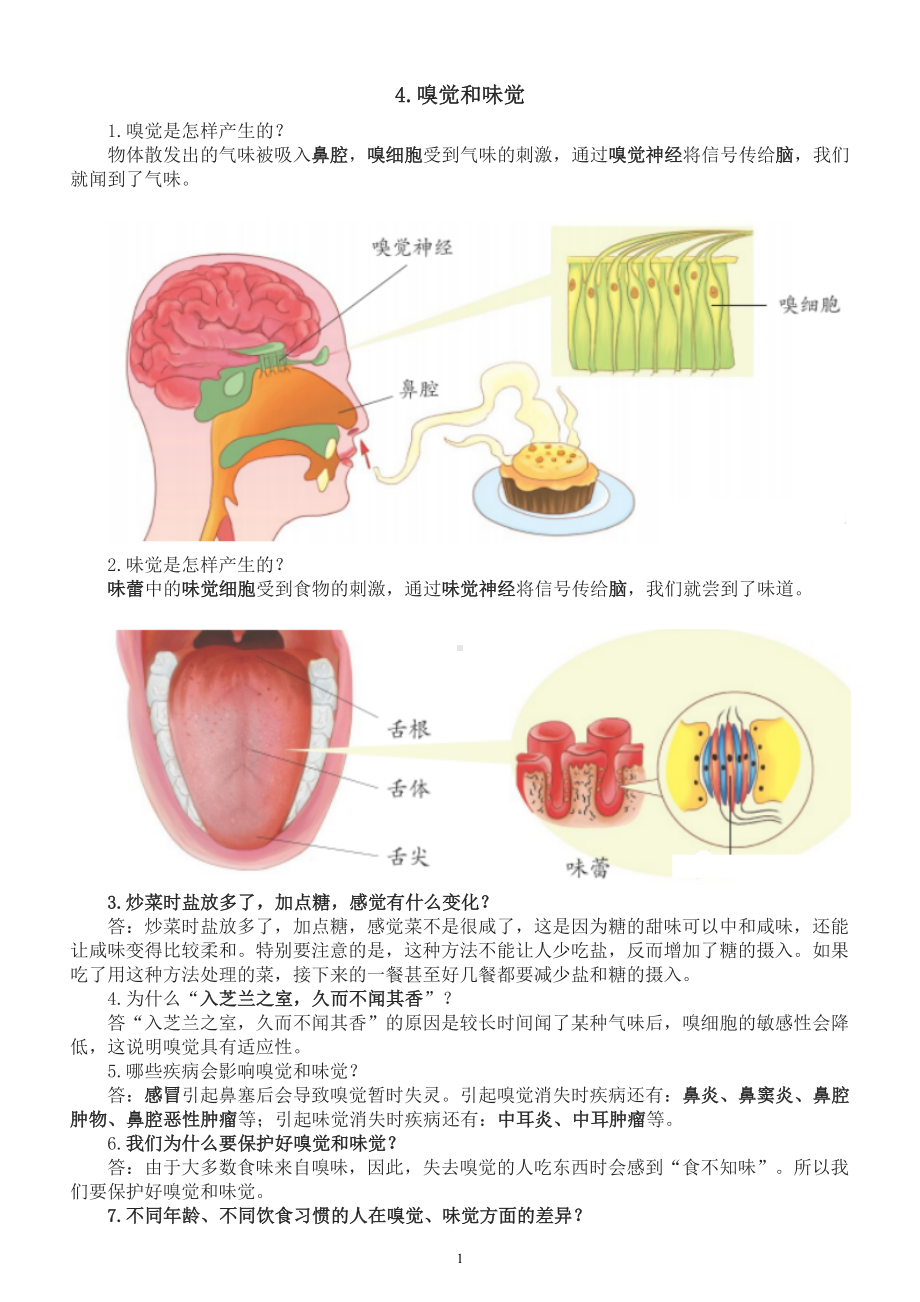 小学科学青岛版六三制六年级下册第一单元第4课《嗅觉和味觉》知识点整理（2023春）.doc_第1页