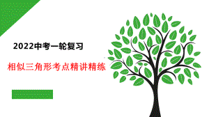 2022年中考一轮复习相似三角形考点精讲精练ppt课件.pptx