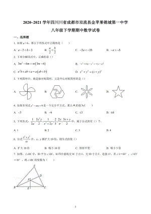 四川省成都市双流区成都金苹果锦城第一 2020-2021学年八年级下学期期中数学试题.docx