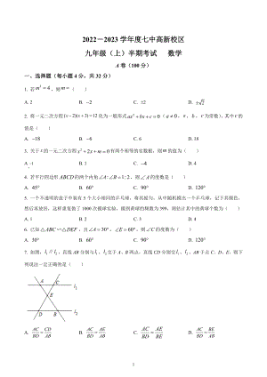 四川省成都市武侯区成都市第七 学高新校区2022-2023学年九年级上学期期中数学试题.docx