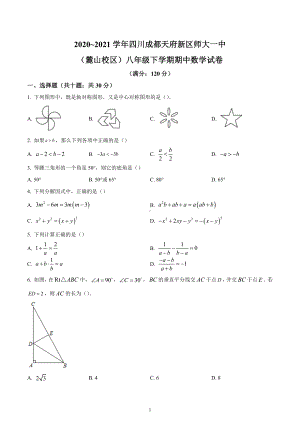 四川省成都市天府新区师大一 （麓山校区）2020-2021学年八年级下学期期中数学试题.docx