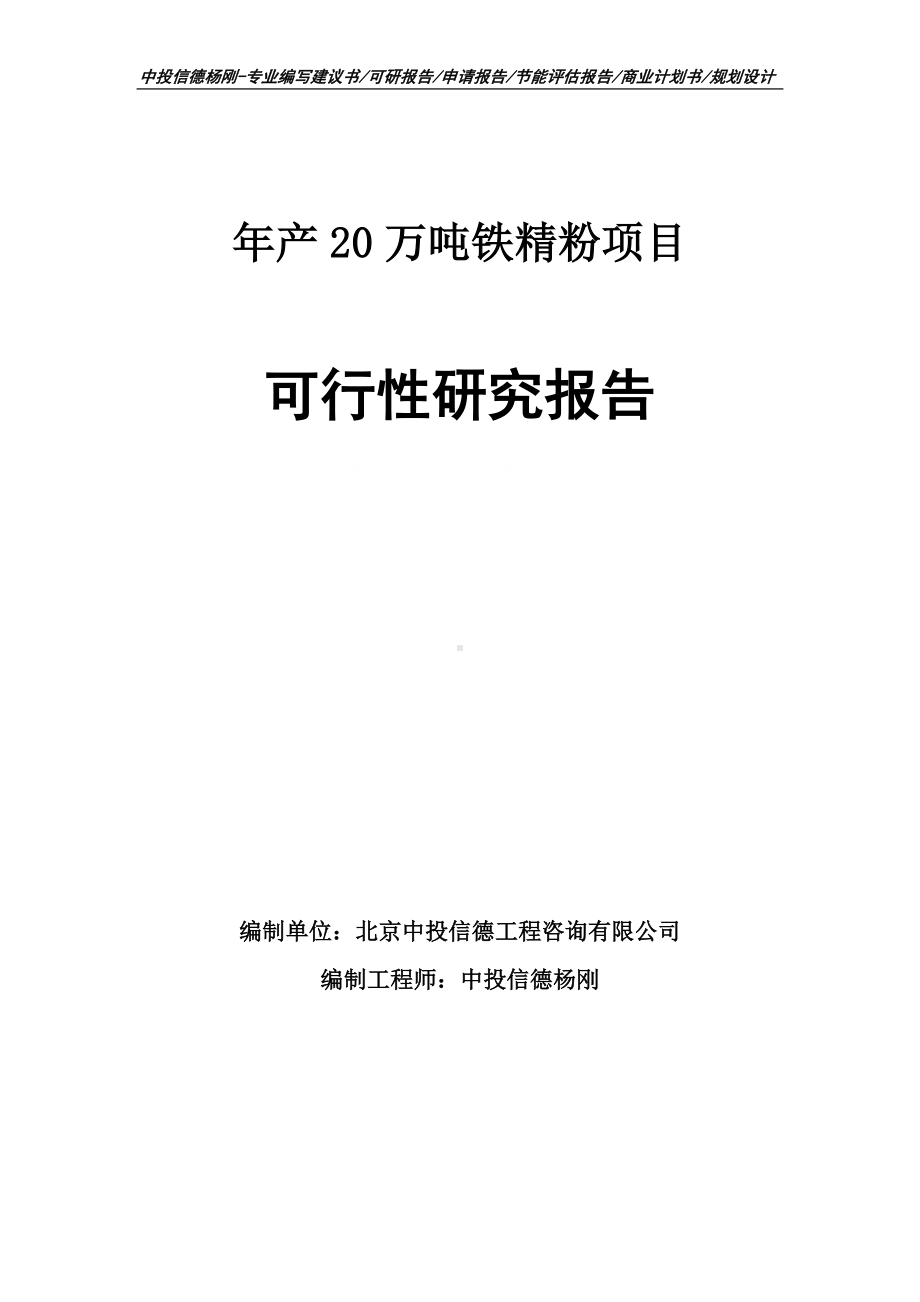 年产20万吨铁精粉项目可行性研究报告申请报告.doc_第1页