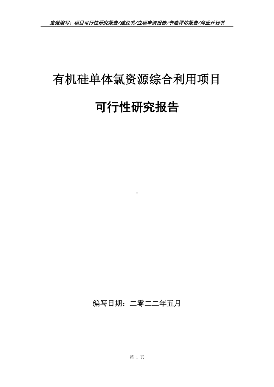 有机硅单体氯资源综合利用项目可行性报告（写作模板）.doc_第1页