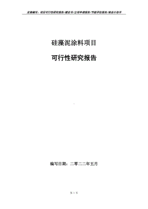 硅藻泥涂料项目可行性报告（写作模板）.doc