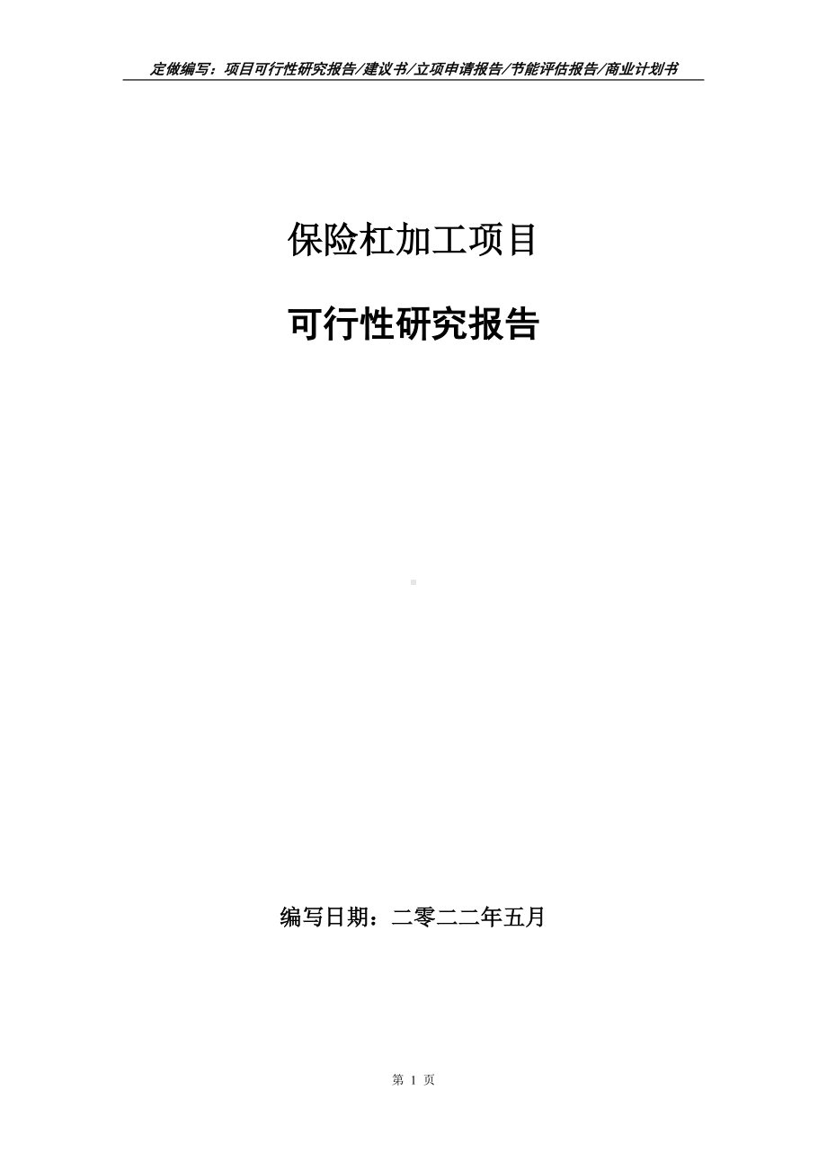 保险杠加工项目可行性报告（写作模板）.doc_第1页