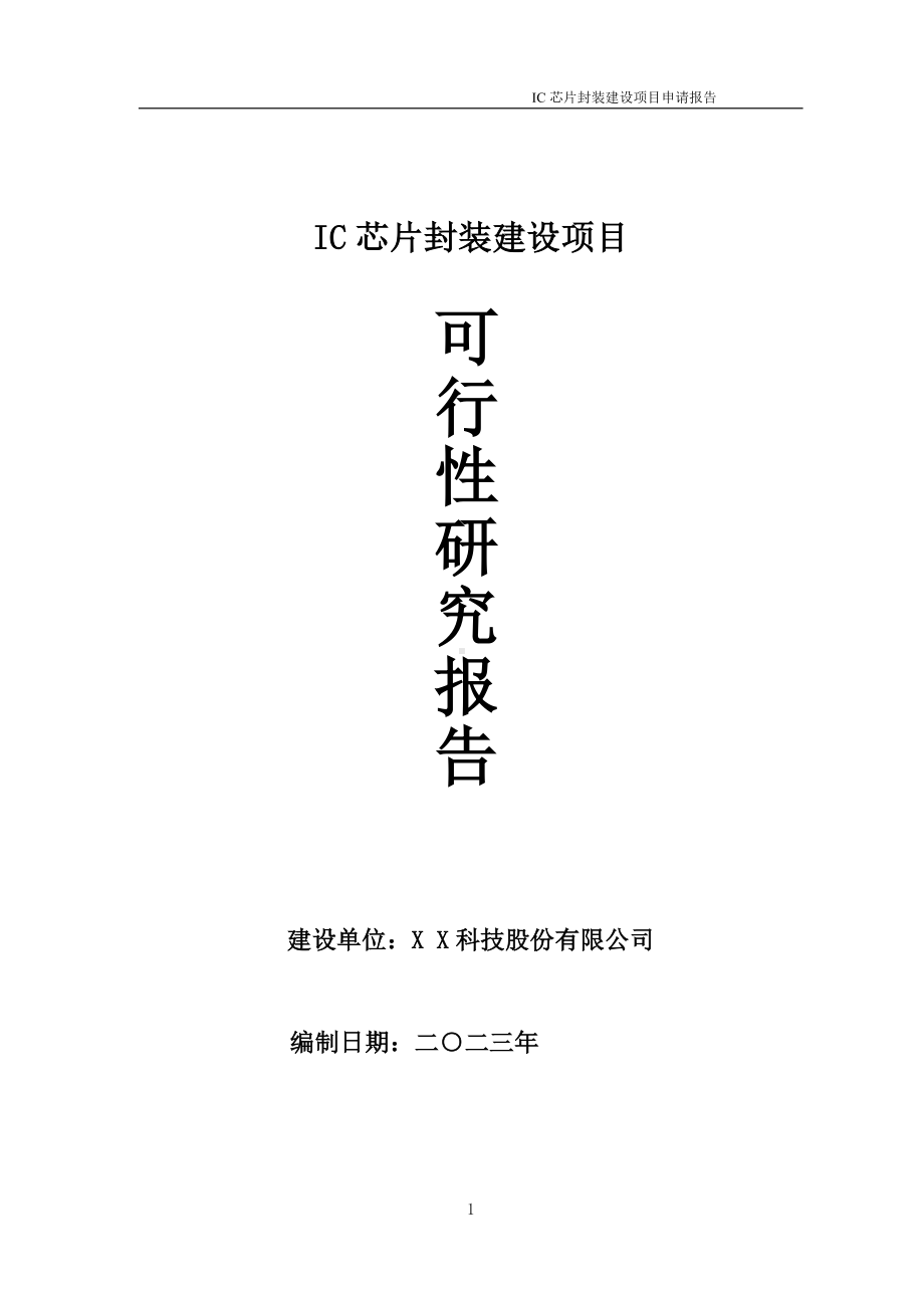 IC芯片封装项目可行性研究报告备案申请模板.doc_第1页