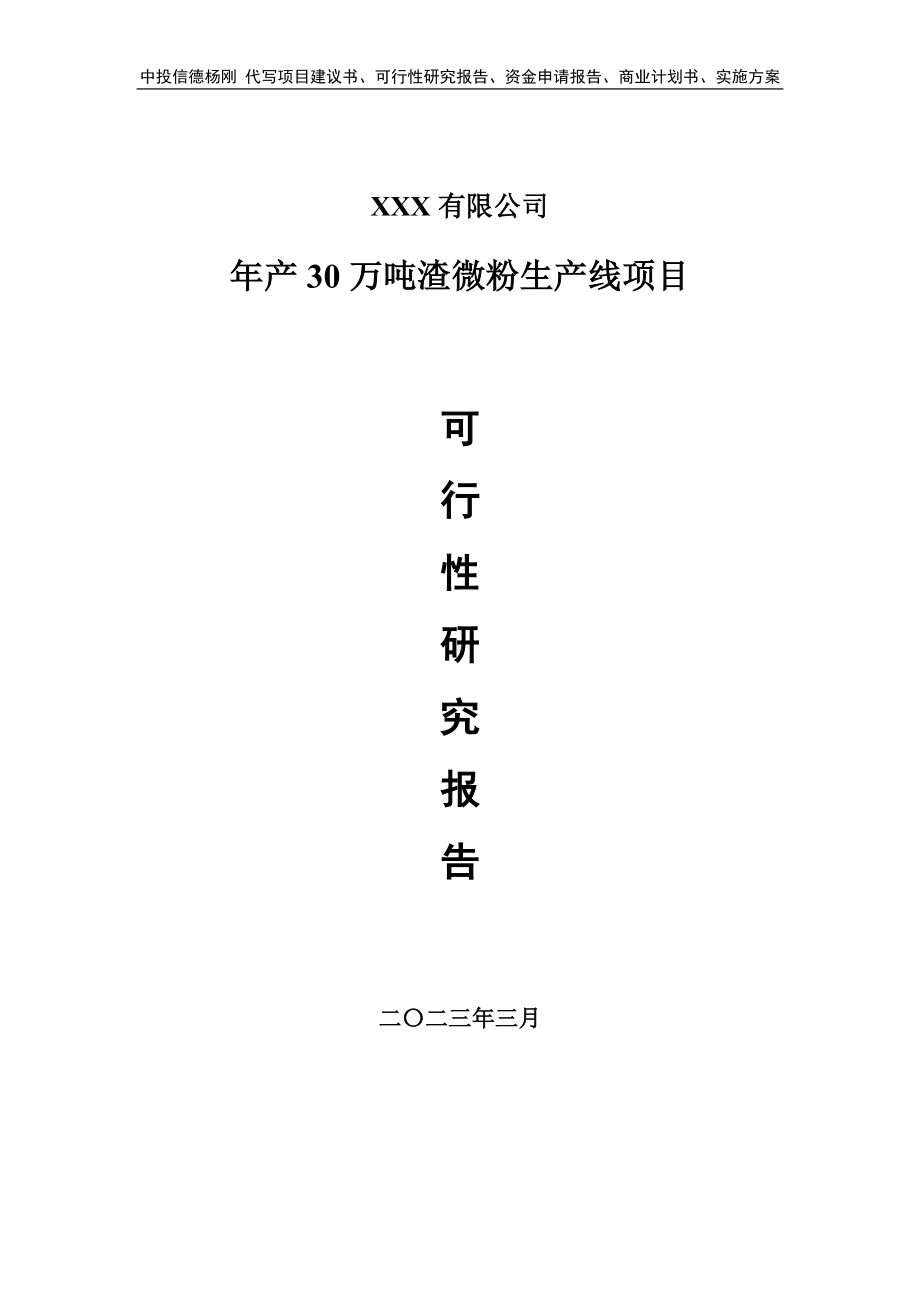 年产30万吨渣微粉生产线可行性研究报告建议书.doc_第1页