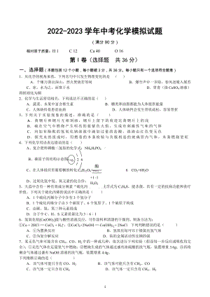 2023年山东省日照市实验中学中考模拟化学试题.docx