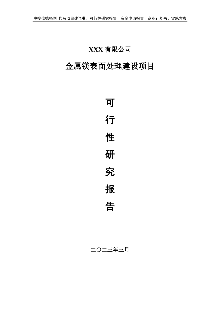 金属镁表面处理建设项目可行性研究报告申请建议书.doc_第1页