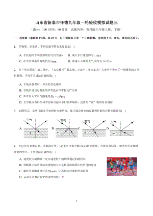 2023年山东省新泰市九年级一轮验收模拟试题三.docx