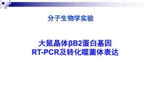 研究生分子生物学实验.ppt