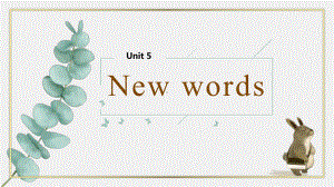 Unit 5 New words 讲解（ppt课件） -2023新人教版（2019）《高中英语》必修第一册.pptx