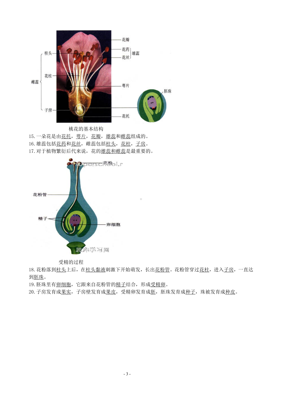 中考复习专题：生物图集附题目.doc_第3页