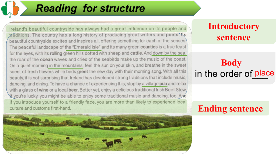 Unit4 Reading for writing （ppt课件）-2023新人教版（2019）《高中英语》必修第二册.pptx_第3页