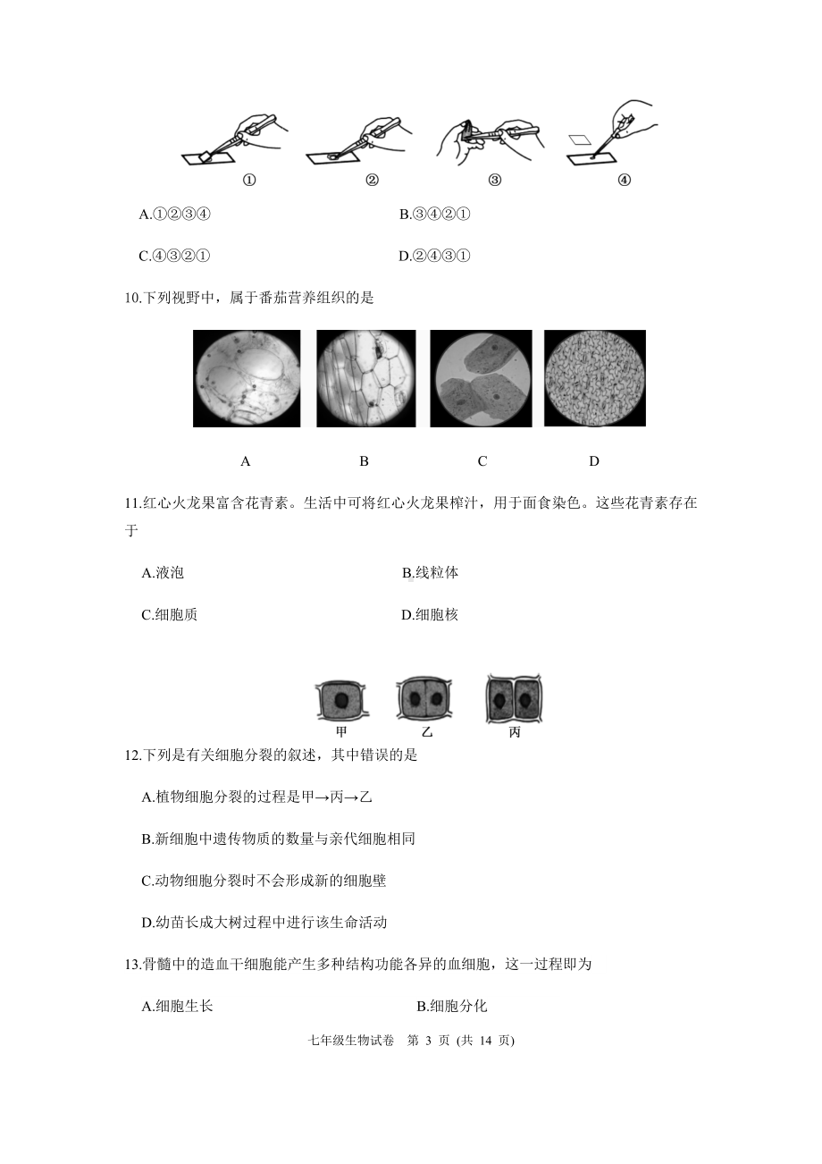 初一生物第一学期期末检测试卷含答案.docx_第3页