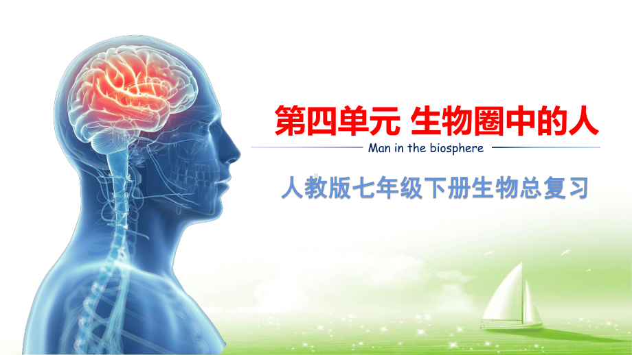 人教版七年级下册生物期末总复习课件114张.pptx_第1页