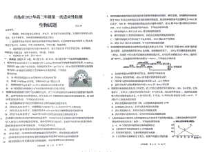 山东省青岛市2023届高考一模生物试卷+答案.pdf