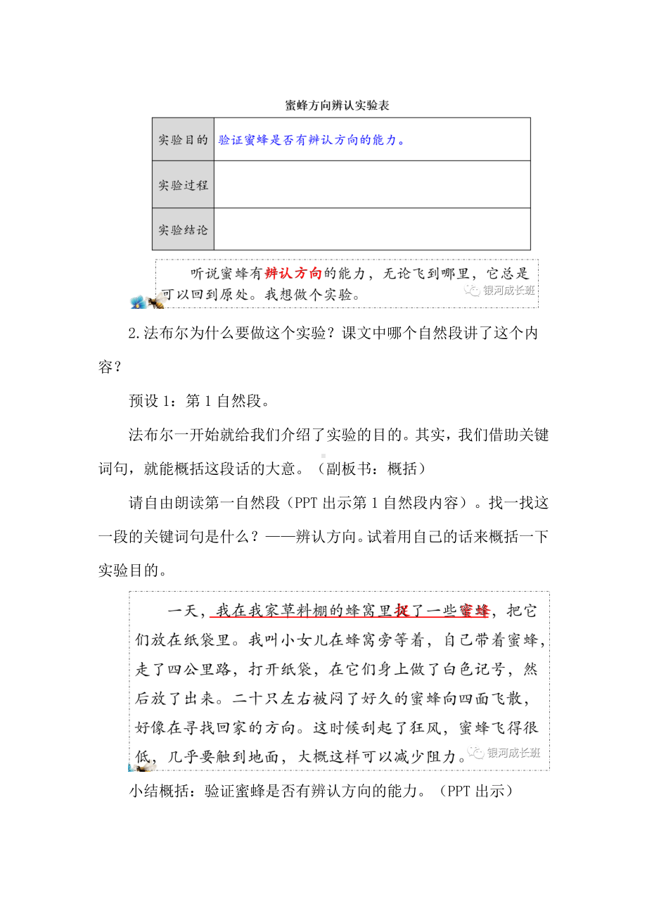 语文课程标准解读及实践：三下《蜜蜂》创新教学任务群教学设计.docx_第3页