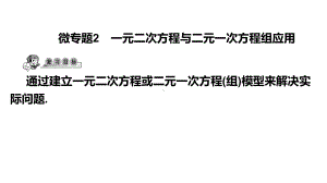 第39讲微专题2 一元二次方程与二元一次方程组应用-2021年中考数学一轮复习ppt课件（广东专用）.pptx