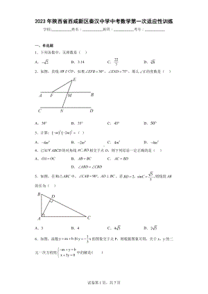 2023年陕西省西咸新区秦汉中学中考数学第一次适应性训练.docx