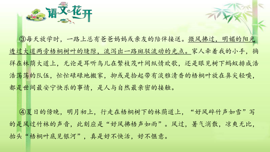 语文花开现代文阅读7年级记叙文阅读人生感悟 （六）绿阴不减来时路.pptx_第3页