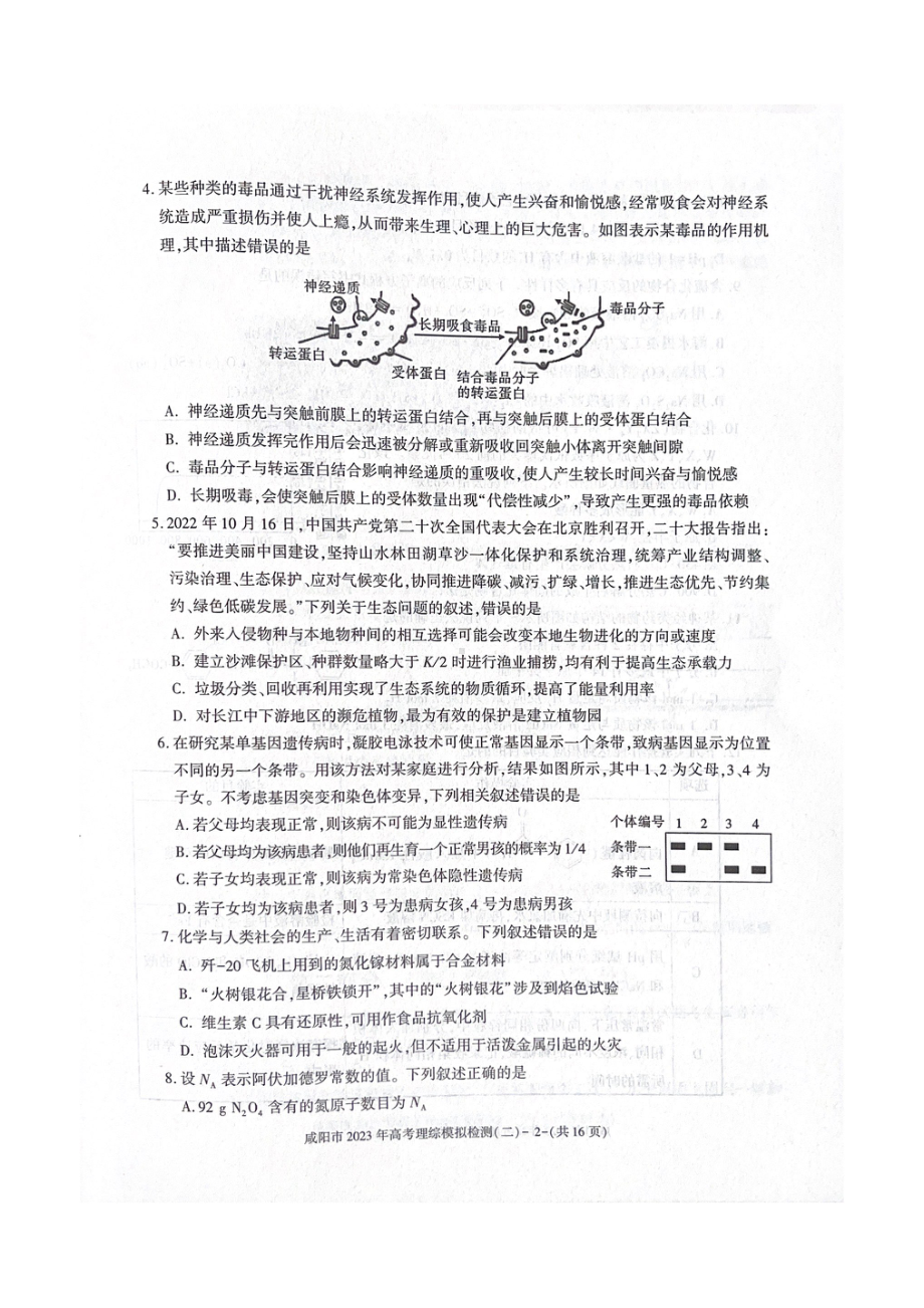 陕西省咸阳市2023届高考二模检测理科综合试卷+答案.pdf_第2页