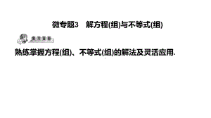 第33讲微专题3 解方程(组)与不等式(组)-2021年中考数学一轮复习ppt课件（广东专用）.pptx