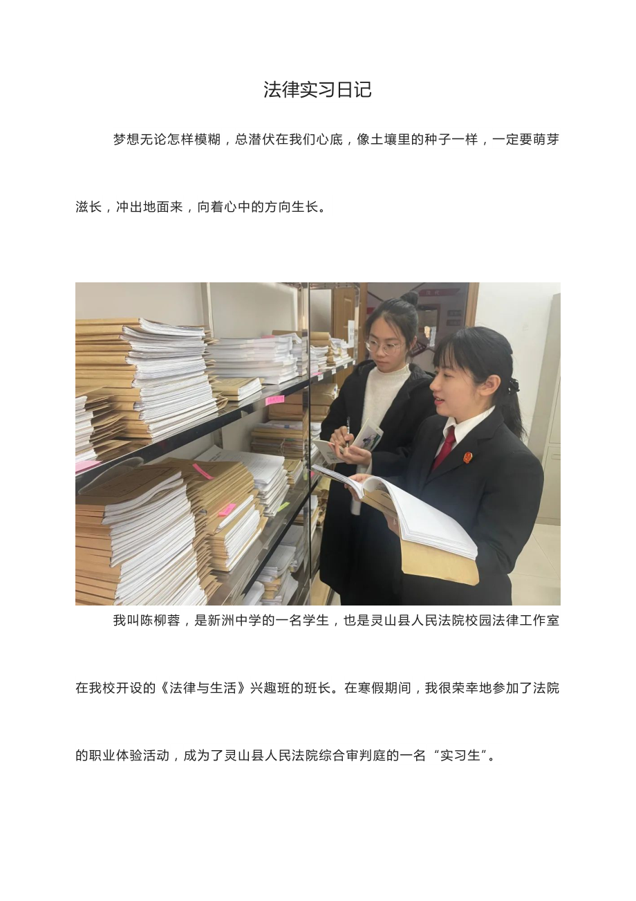 法院实习小结法庭实习日记法院实习报告总结.docx_第1页