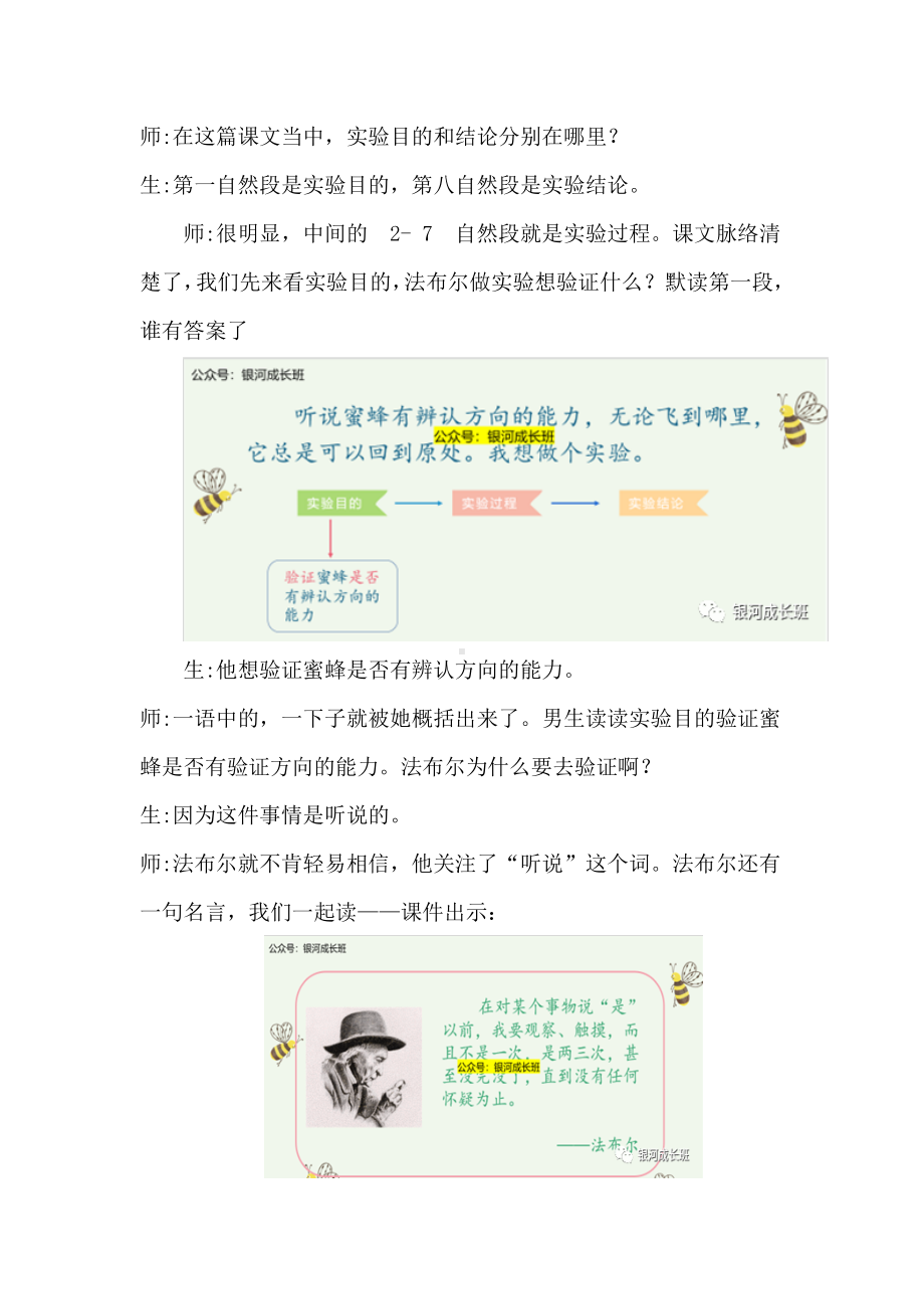 语文课程标准解读及实践：三下《蜜蜂》创新教学任务群教学详案.docx_第3页