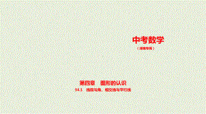 2021年湖南省数学中考复习考点分层训练§4.1　线段与角、相交线与平行线.pptx ppt课件.ppt