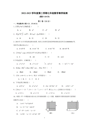 山东省枣庄市薛城区五校2022-2023学年七年级年级下学期学科素养数学测试题.pdf