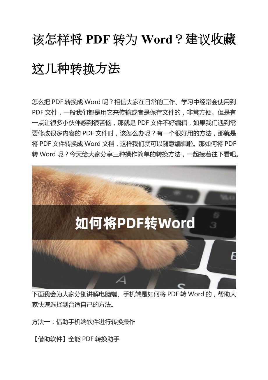 pdf文件如何转换成word文档学会这些技巧新手小白也能快速搞定.docx_第1页