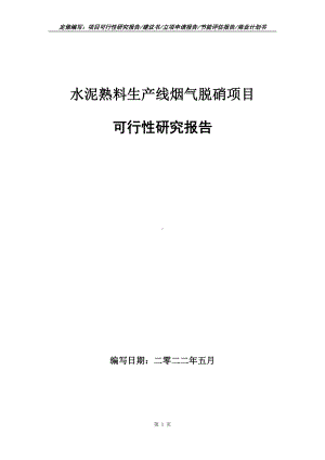 水泥熟料生产线烟气脱硝项目可行性报告（写作模板）.doc