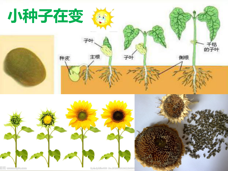 一切都在变.pptx_第2页