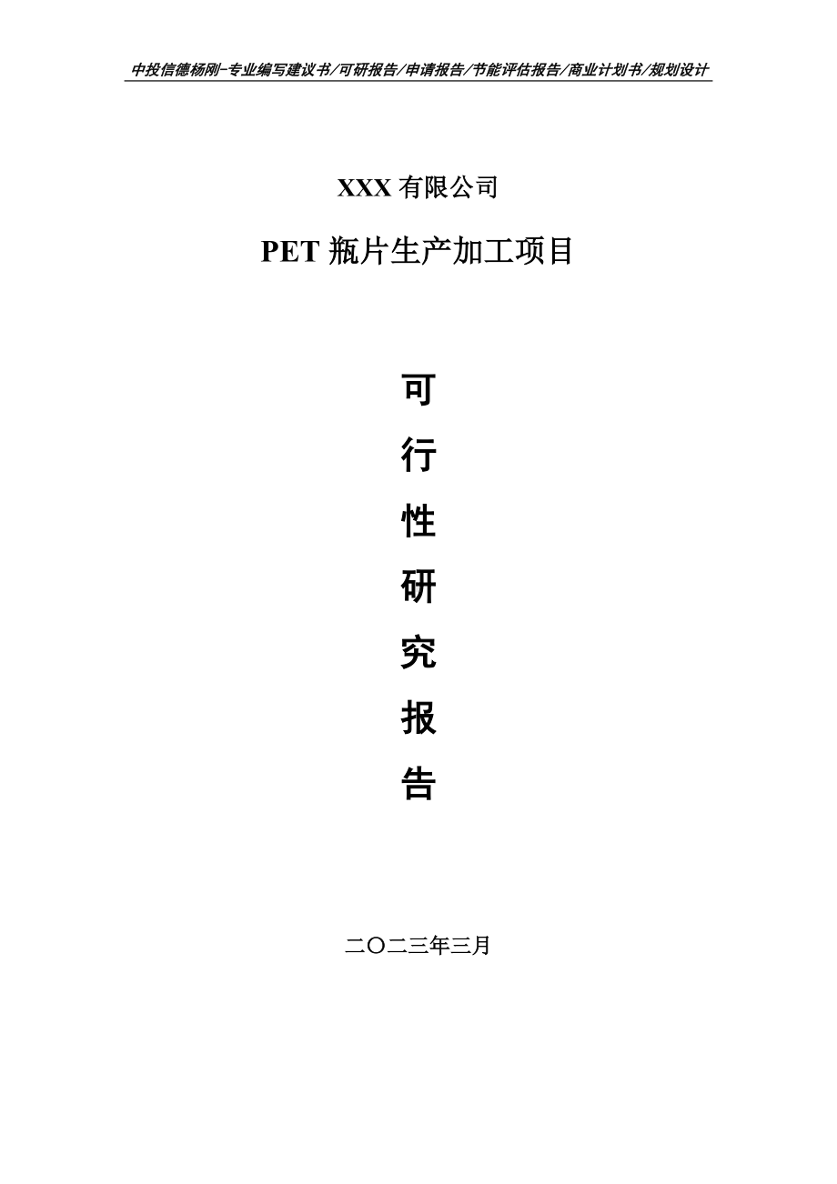 PET瓶片生产加工项目可行性研究报告建议书.doc_第1页