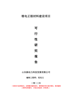 重点项目锂电正极材料建设项目可行性研究报告申请立项备案可修改案例.doc