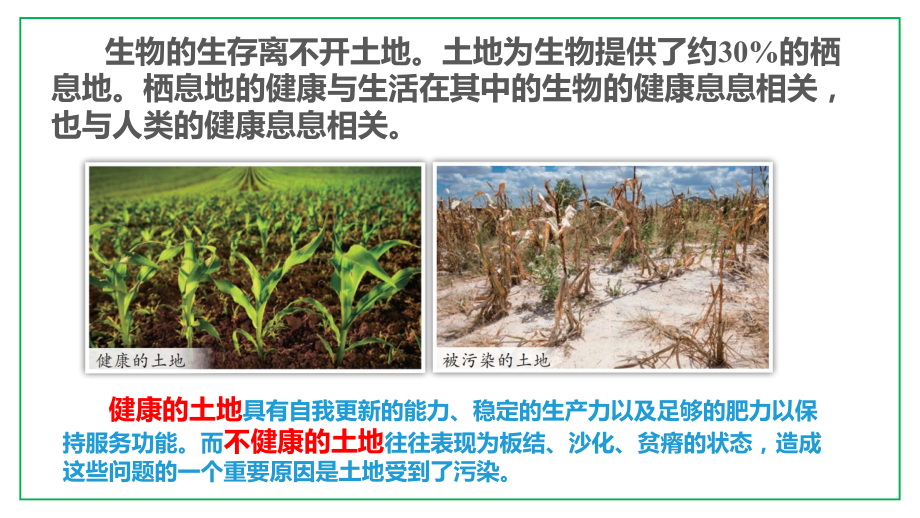 4.16.健康的土地 ppt课件-2023新苏教版六年级下册《科学》.pptx_第3页