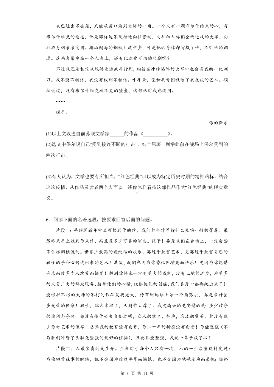 八年级下册语文名著导读《钢铁是怎样炼成的》同步练习题（Word版含答案）.docx_第3页